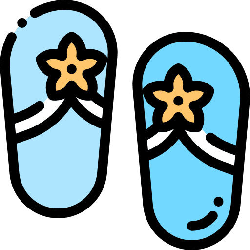 Sandals flip flops footwear summertime icon