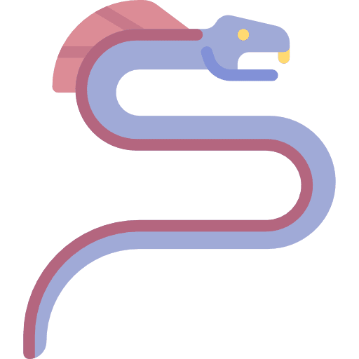 Dragon folklore dragon fantasy icon