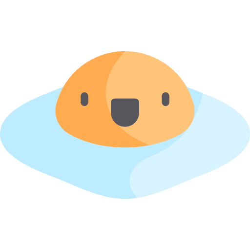 Egg fried egg egg organic icon