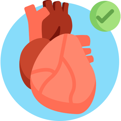 Heart human cardiology body parts icon