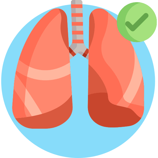 Lung medicine wellness organ icon