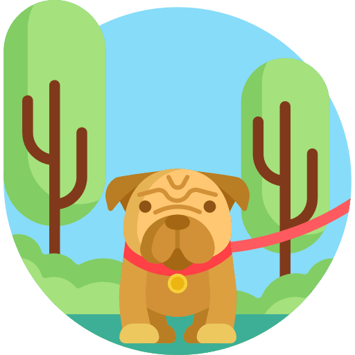 Pets dog mammal pet icon