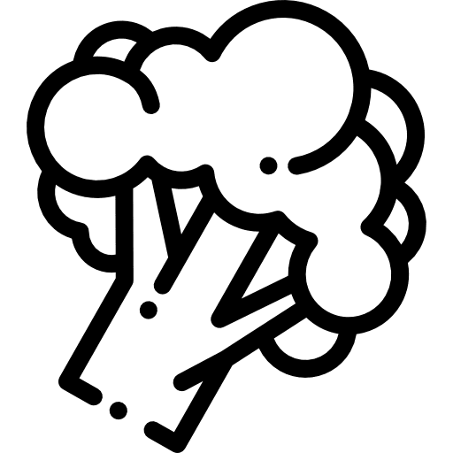 Broccoli vegetarian organic food and restaurant icon