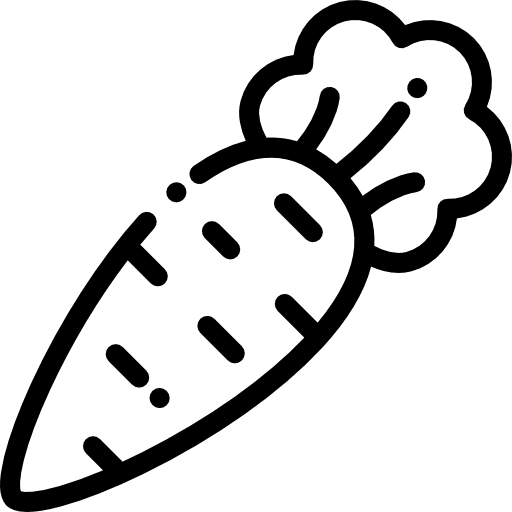 Carrot food vegetable vegetables icon