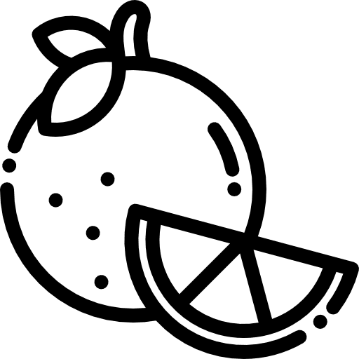 Orange citrus food food and restaurant icon