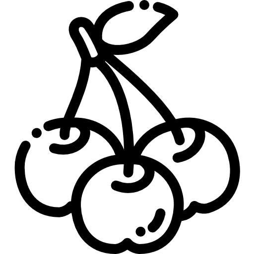 Cherry vegetarian cherry fruit icon