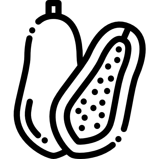 Coconut diet organic fruit icon