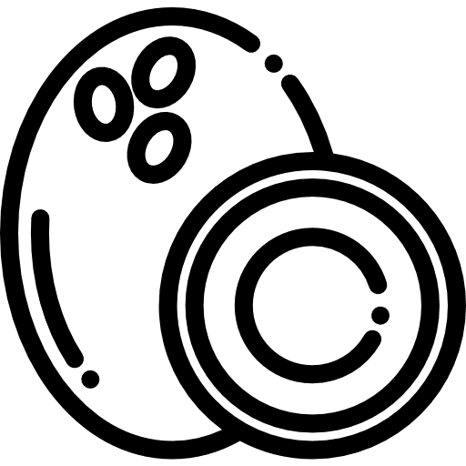 Coconut vegan food and restaurant diet icon