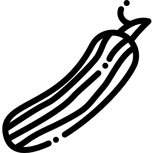 Cucumber fruit vegan vegetarian icon