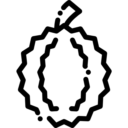 Durian healthy food diet food and restaurant icon