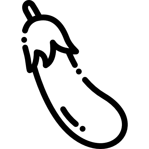 Eggplant diet aubergine organic icon