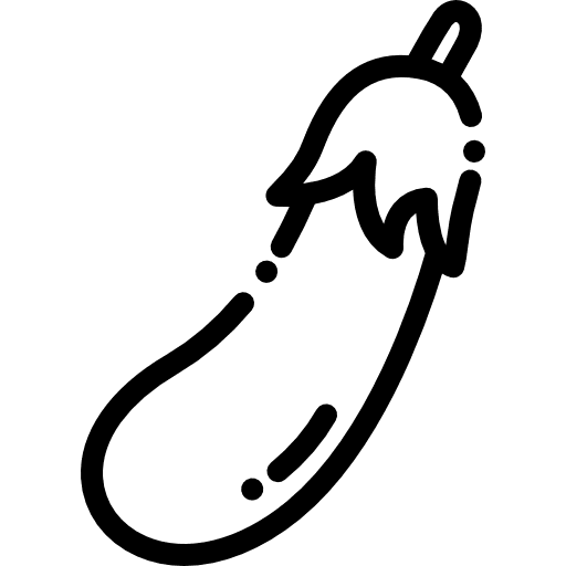 Eggplant fruit organic vegan icon