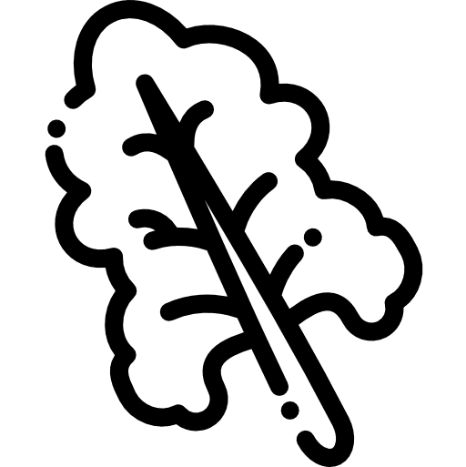 Lettuce diet healthy food organic icon