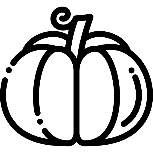 Pumpkin food vegan organic icon