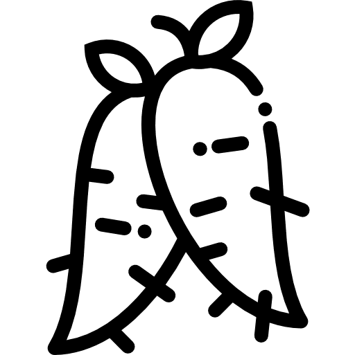 Radish vegan food vegetable icon