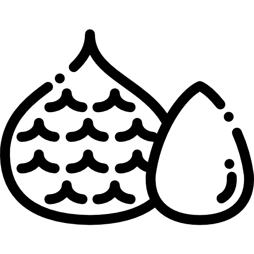 Fruit diet organic food icon