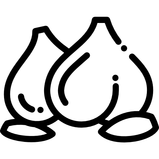 Garlic clove garlic vegetable vegan icon