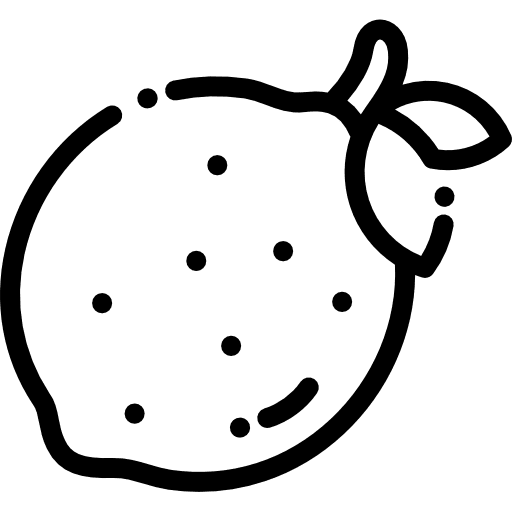 Lemon organic vegetarian citrus icon