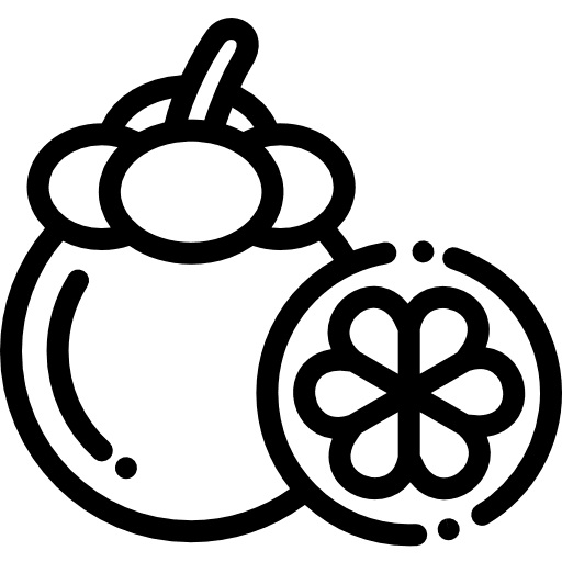 Mango food and restaurant fruit food icon