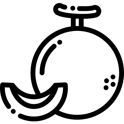 Melon melon vegan fruit icon