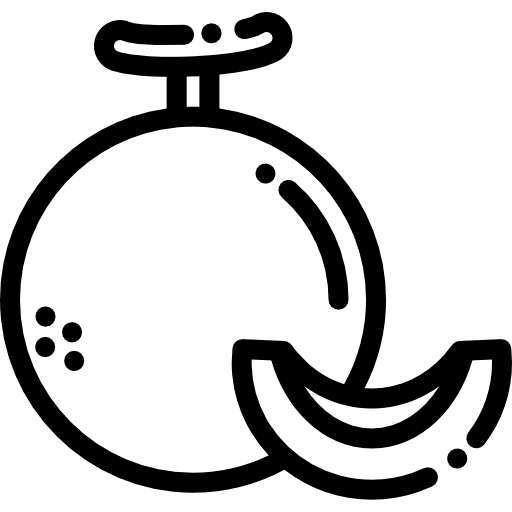 Melon vegetarian diet healthy food icon