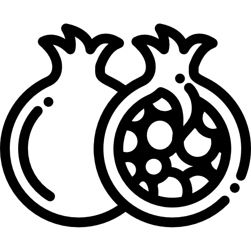 Pomegranate food vegetarian vegan icon