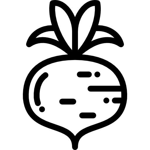 Radish organic radish food and restaurant icon