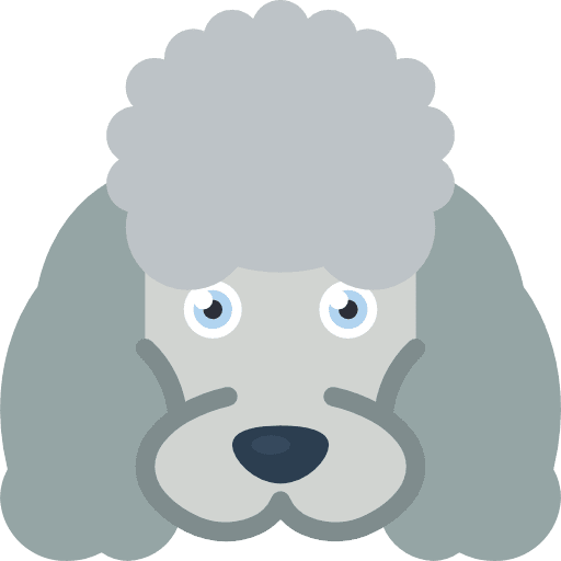 Dog mammal dog nose dog icon