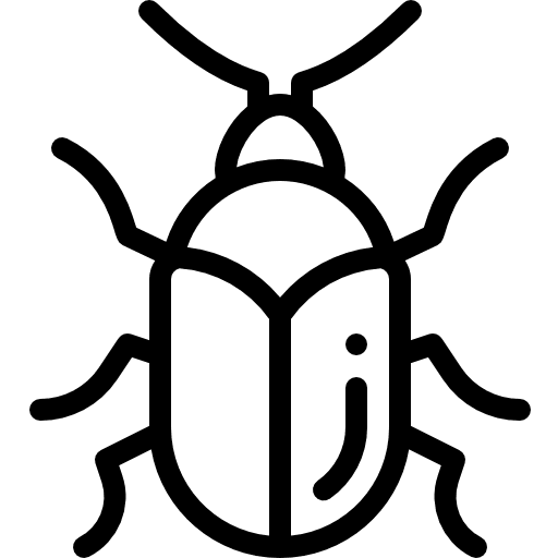 Beetle beetle insect animal kingdom icon