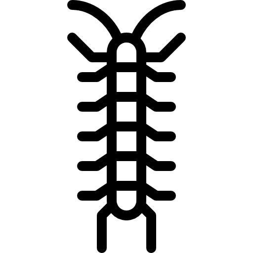 Centipede centipede entomology bug icon