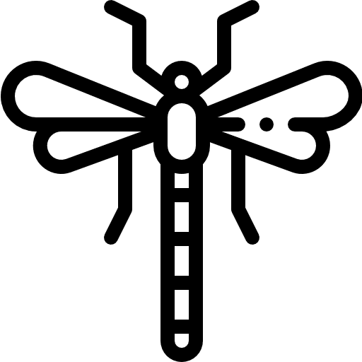 Dragon fly wings insects insect icon