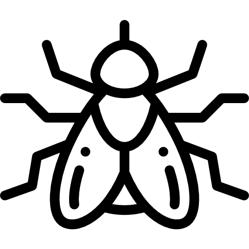 Fly fly insect entomology icon
