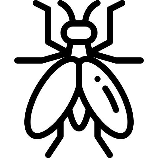 Fly insect animals entomology icon
