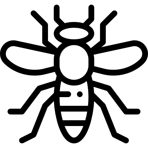 Insect animals entomology bug icon