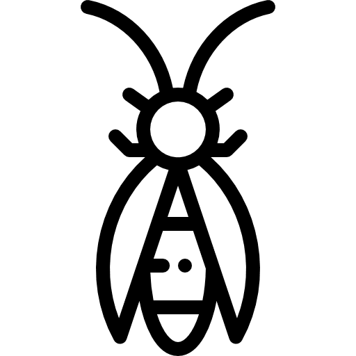 Insect bug insect computing icon