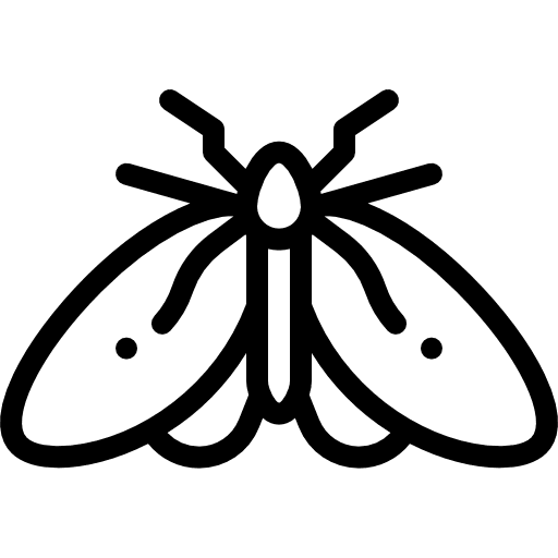 Moth entomology bug moth icon