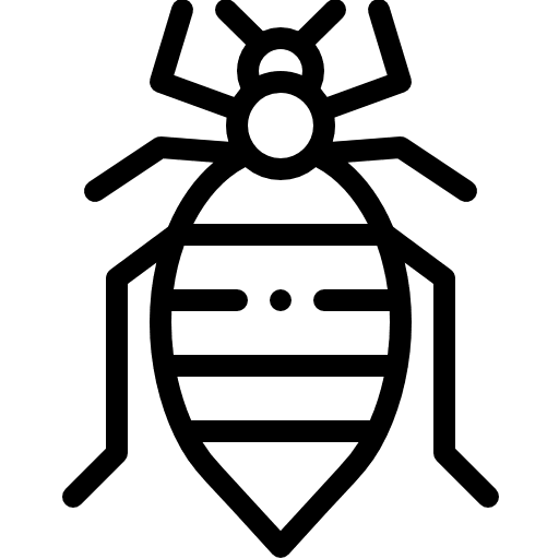 Bedbug insects insect animals icon