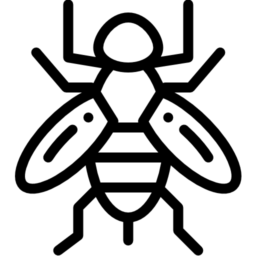 Bee bee entomology bug icon