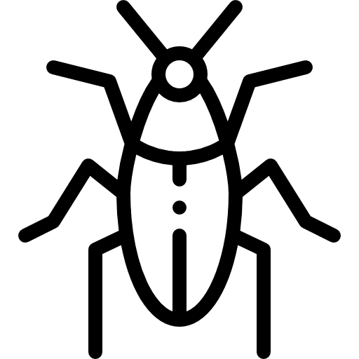 Cockroach entomology insect bug icon