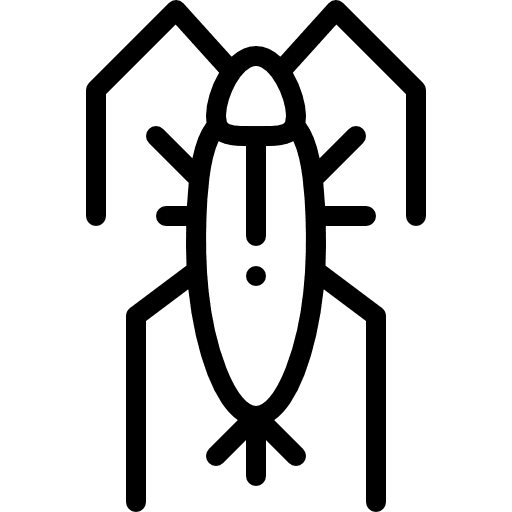 Cricket cricket animals bug icon