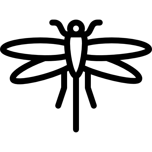 Dragon fly nature animal kingdom animals icon