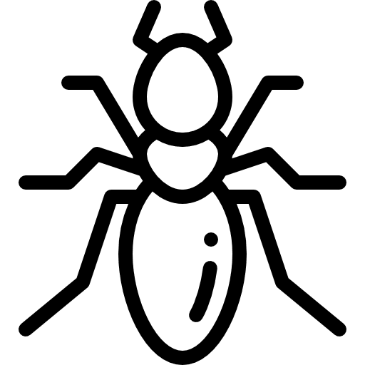 Insect animal ant arthropods icon