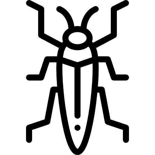 Insect arthropods animals ant icon