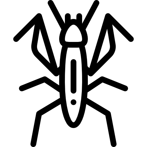Mantis bug animals entomology icon