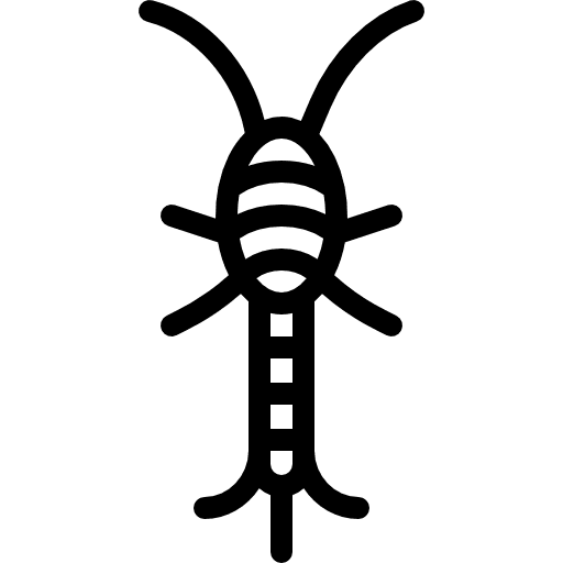 Silverfish entomology bug animals icon