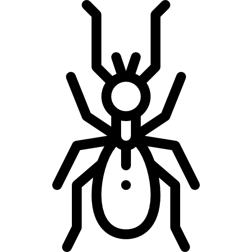 Termite animals bug entomology icon