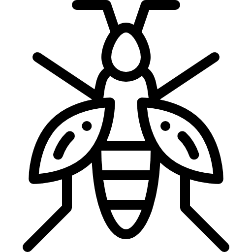 Wasp insect bug entomology icon