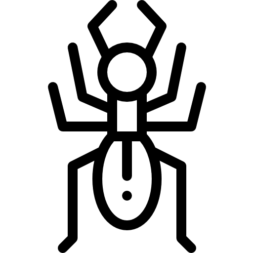 Ant insects entomology insect icon