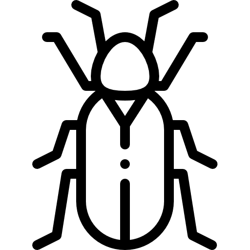 Beetle bug beetle insect icon