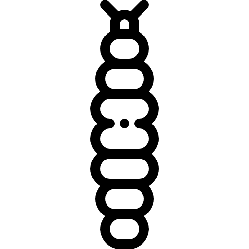 Caterpillar animal kingdom insect animals icon